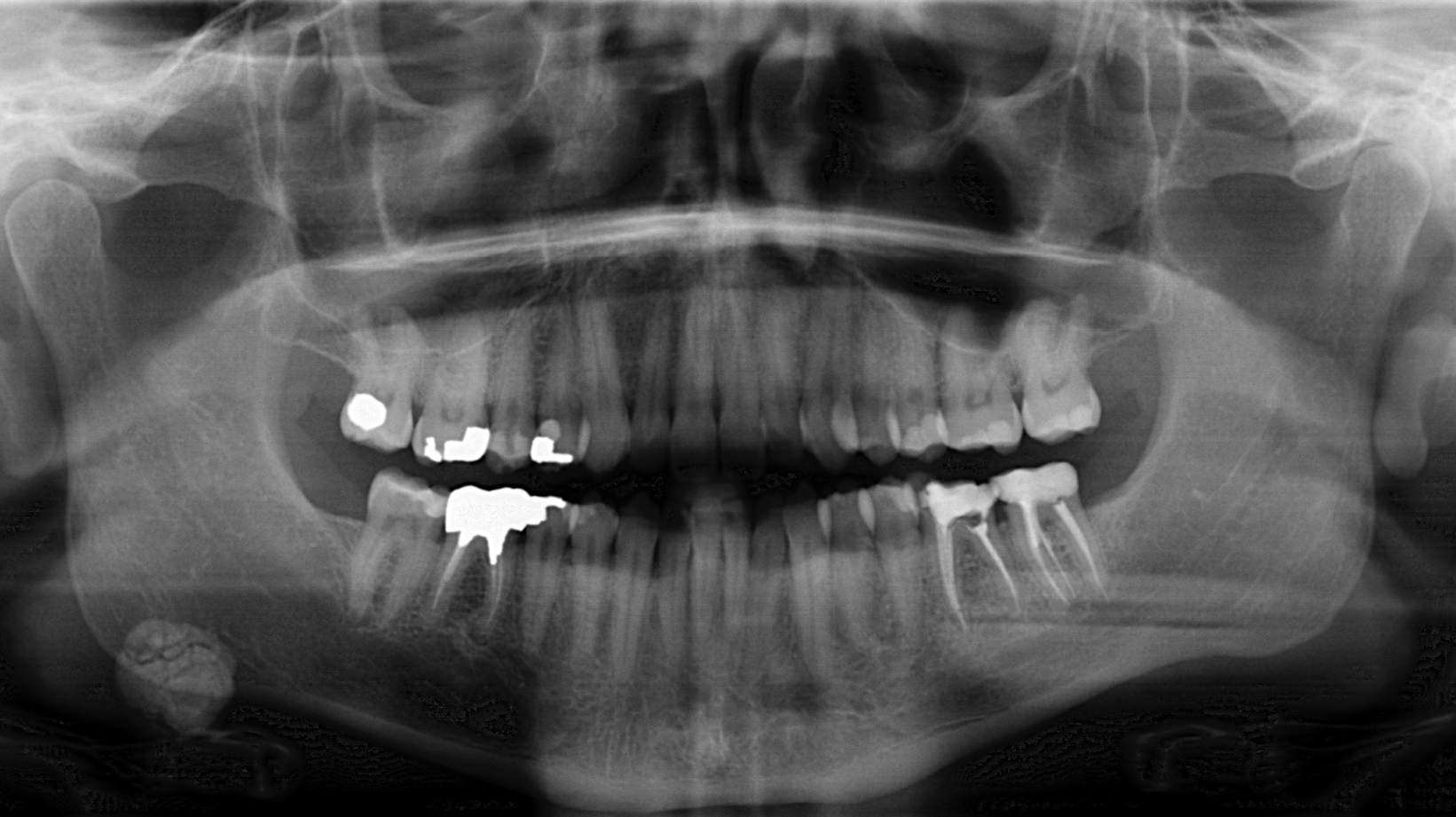 D Russi Pan 63ed48c9d7d11