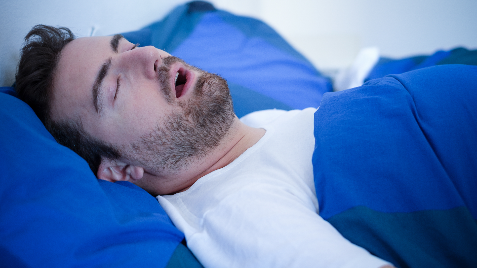 Dreamstime Xxl 104173483