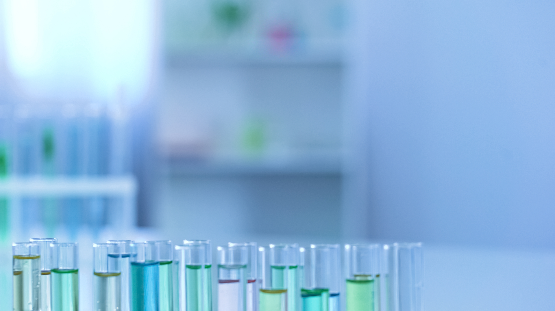 Dreamstime Xxl 134826095 6410c5d963695