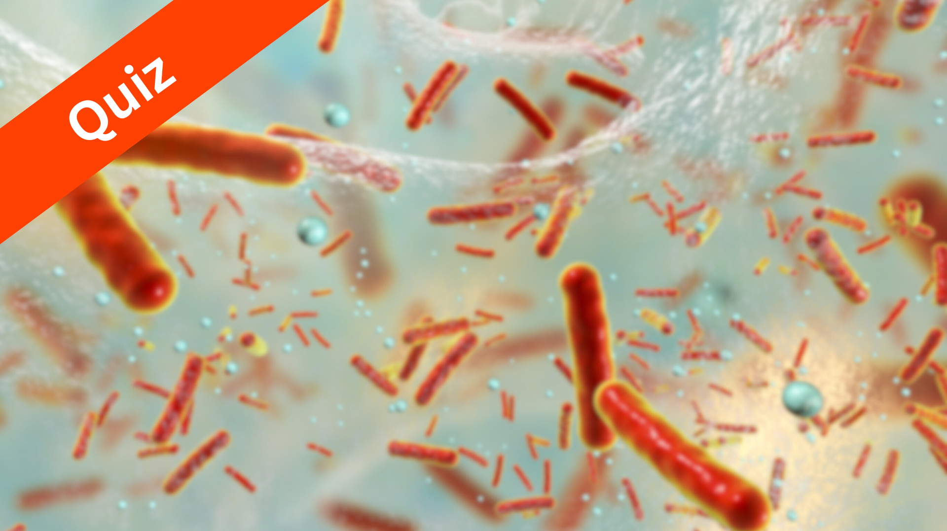 Microsoft Teams Image (74)