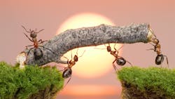 Dreamstime Xxl 17037453 6438434739809 Dreamstime Xxl 17037453 6438434739809