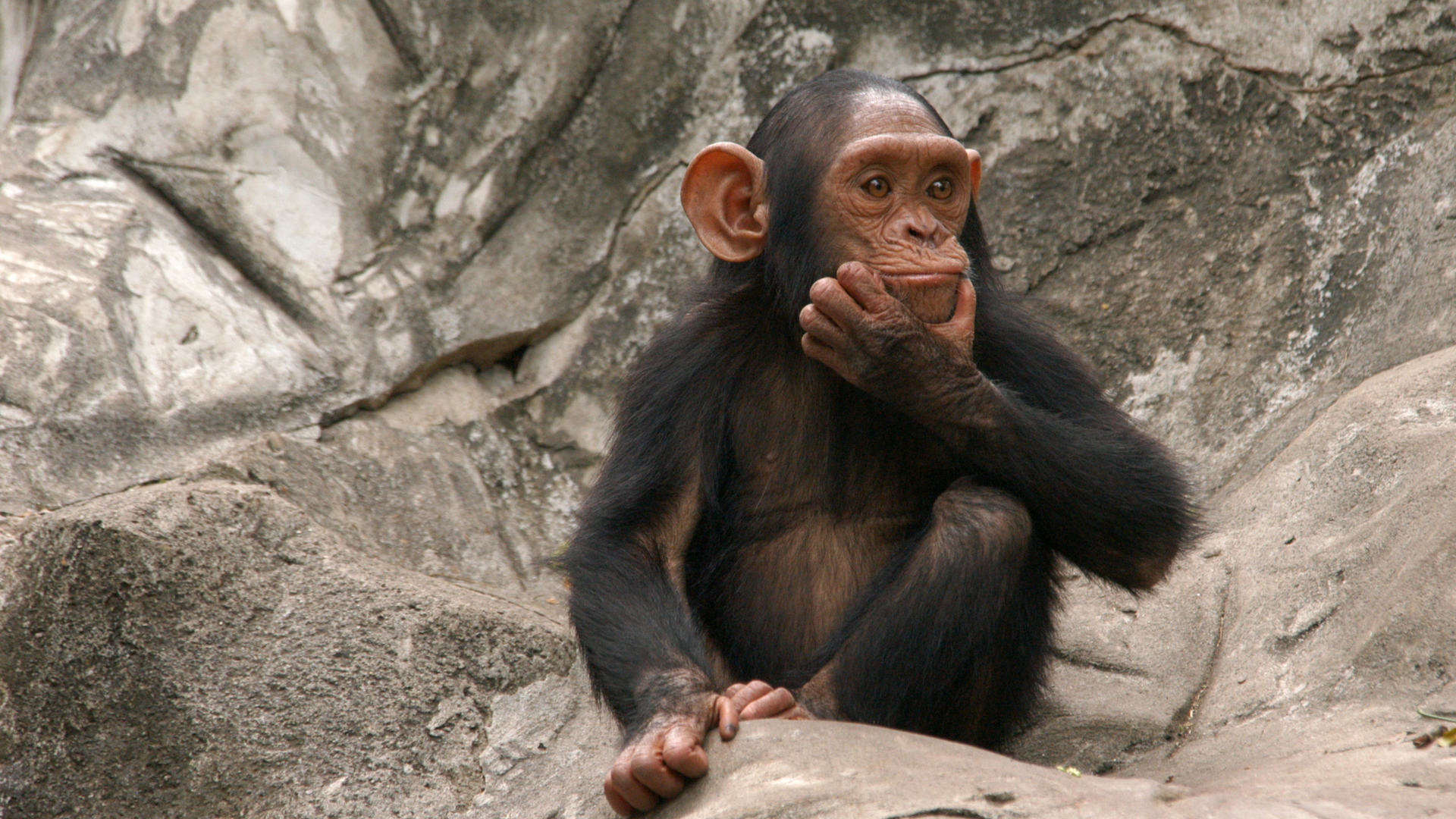 Dreamstime Xxl 479480 64303b84e0cfe