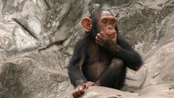 Dreamstime Xxl 479480 64303b84e0cfe Dreamstime Xxl 479480 64303b84e0cfe