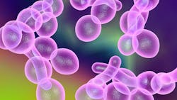 Dreamstime Xxl 78992631 643eb823613f2 Dreamstime Xxl 78992631 643eb823613f2