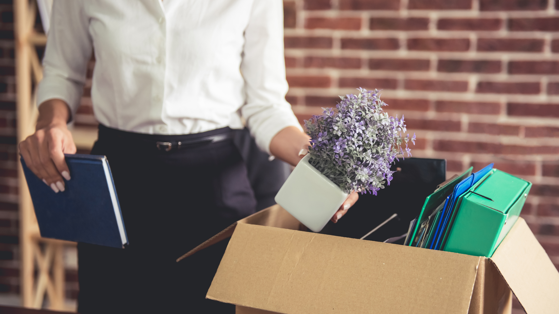 Dreamstime Xxl 87315771 643ff210238e5