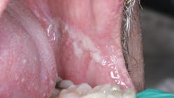 Img 1378 6489e90c8b5ce Img 1378 6489e90c8b5ce