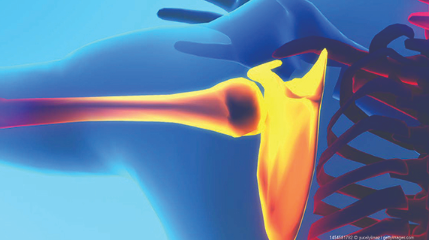 Screenshot 2023 06 15 At 9 54 55 Am 648b26fbf01c2