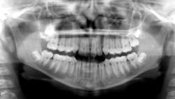 Figure 1 649aee7ada085 Figure 1 649aee7ada085