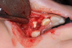 Fig3 Img 2078 Fig3 Img 2078