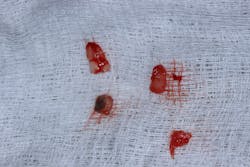 Fig4 Img 2079 Fig4 Img 2079