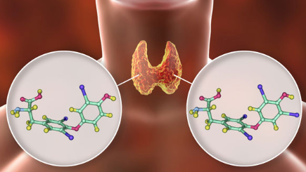 Screenshot 2023 08 24 At 3 08 43 Pm 64e7b99b69dab