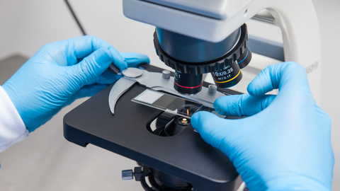 Dreamstime Xs 103163304 64df90138b06e