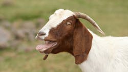 This office manager is tired of the dentist using her as the scapegoat when mistakes are made. This office manager is tired of the dentist using her as the scapegoat when mistakes are made.