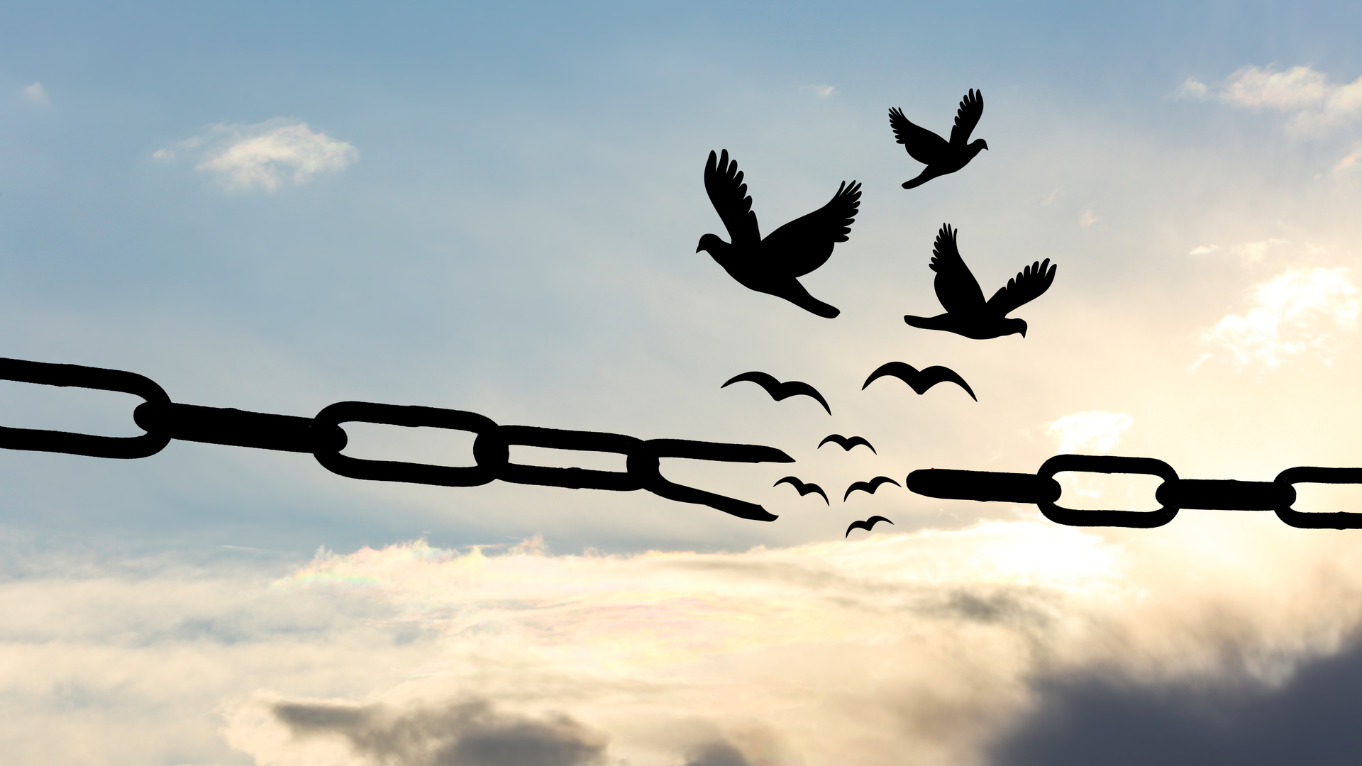 Dreamstime Xxl 180469860 64fa1ce9bc6b7