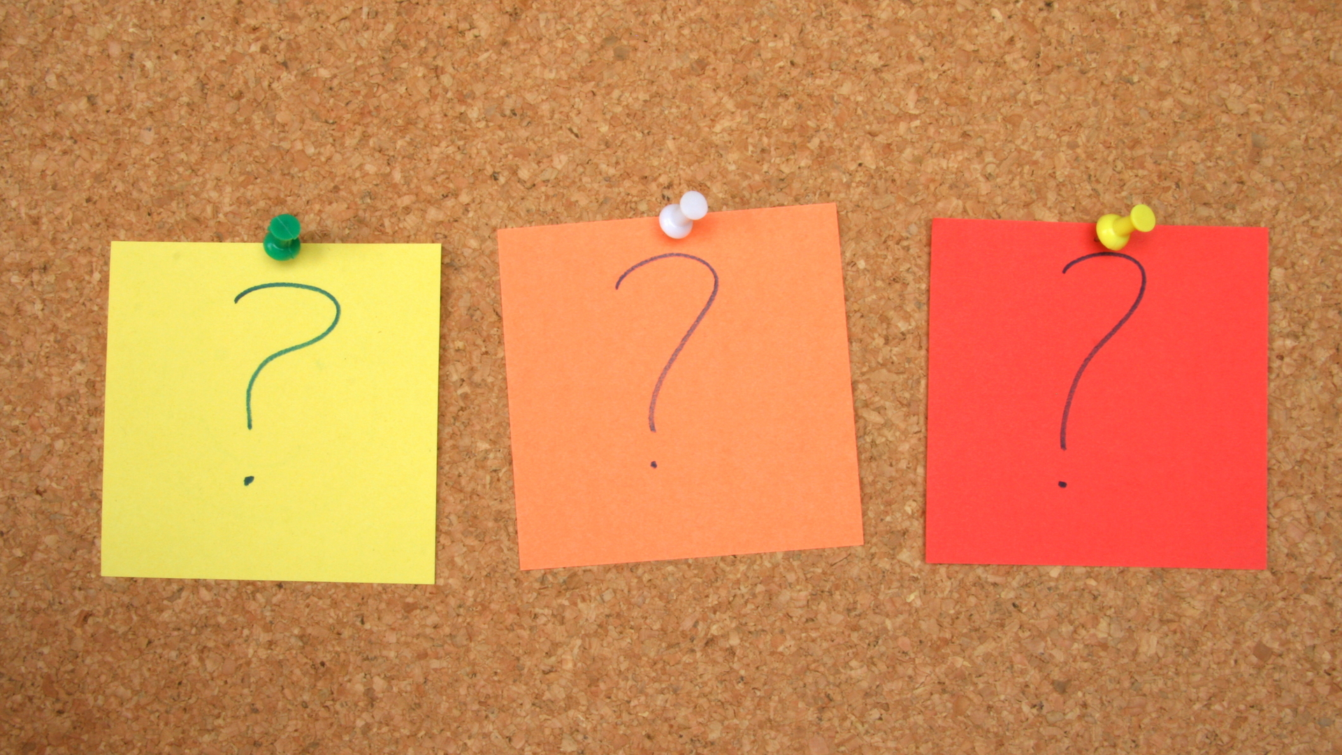 Dreamstime M 8146985 65429beb40394