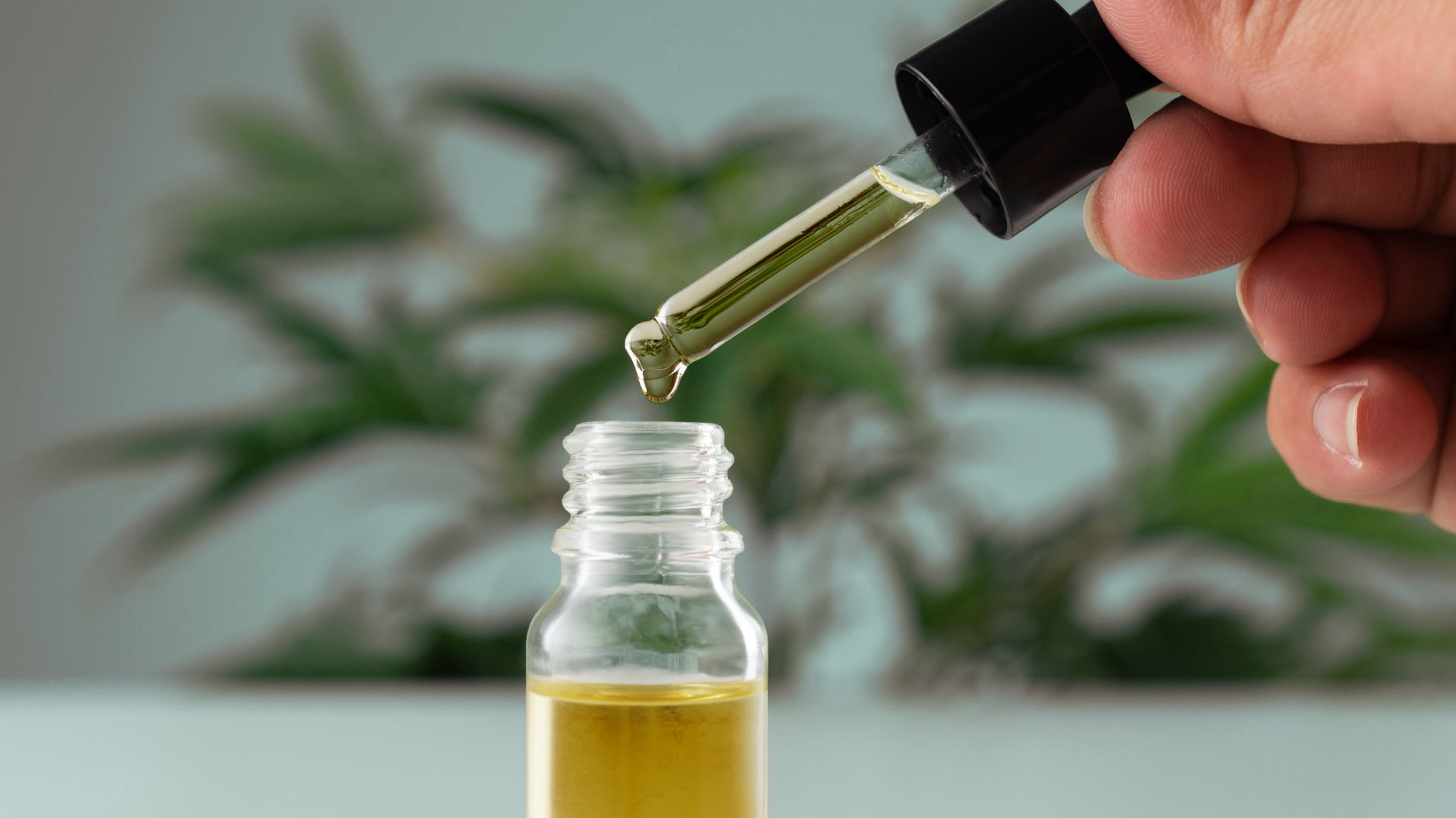 65578e360a3845001e2d68ac Dreamstime M 261341656