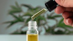 65578e360a3845001e2d68ac Dreamstime M 261341656 65578e360a3845001e2d68ac Dreamstime M 261341656