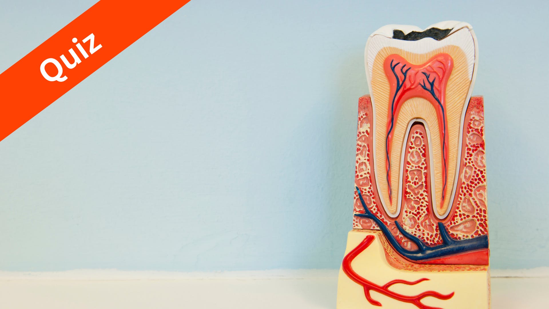 Dental hygiene school quiz Dentistry IQ