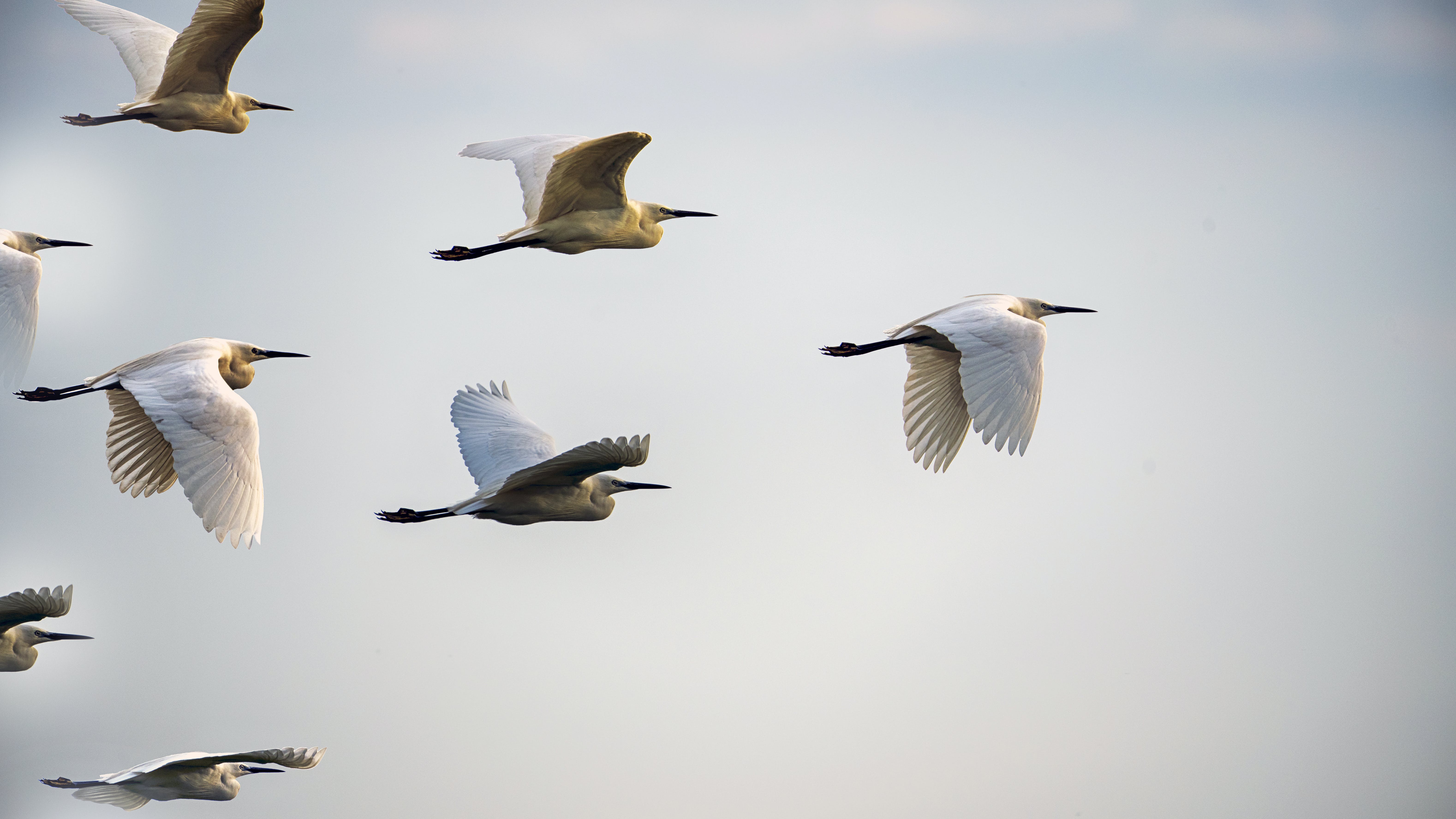 Instead of exploiting young students and dentists working hard to join the ranks of our profession, why are we not asking ourselves how we can better lead them?