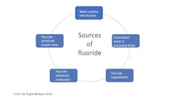 Figure 1: Sources of fluoride