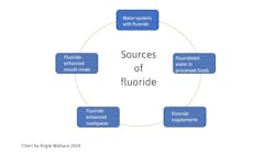 Figure 1: Sources of fluoride Figure 1: Sources of fluoride