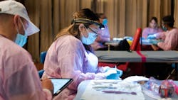 cariedaway_sorel_bronx cariedaway_sorel_bronx