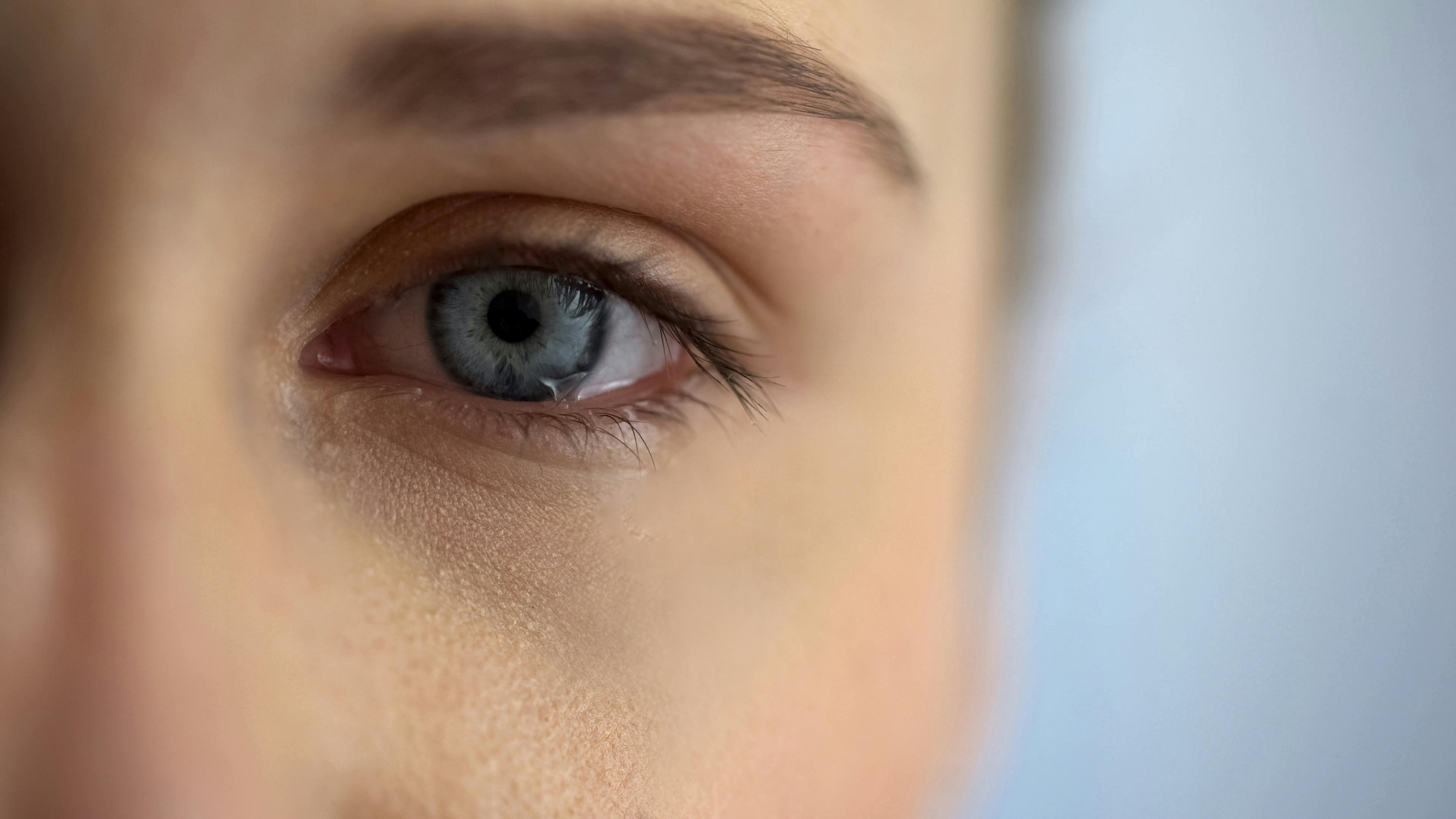 65f33dbdf735cc001d0996fe Dreamstime Xxl 134824036