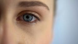 65f33dbdf735cc001d0996fe Dreamstime Xxl 134824036 65f33dbdf735cc001d0996fe Dreamstime Xxl 134824036