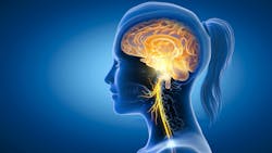 65fb4c77504808001e47d8d7 Dreamstime Xxl 215358877 65fb4c77504808001e47d8d7 Dreamstime Xxl 215358877