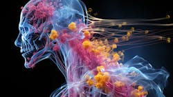 6618007512c120001e4165dd Dreamstime Xxl 311178715 6618007512c120001e4165dd Dreamstime Xxl 311178715