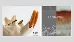 6626cf59f3a801001e3ba8a0 Untitled Design7 6626cf59f3a801001e3ba8a0 Untitled Design7