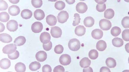 662fcc354c9db3001ecd768f Screenshot 20240429 At 11