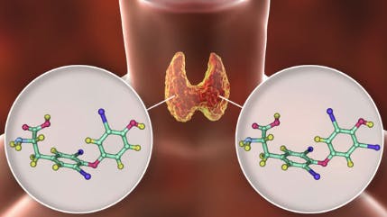 663e7b5dc989e6391775b297 Screenshot 20240510 At 2