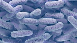 6660b177d0c6475fa2d821fd Gettyimages612521018 6660b177d0c6475fa2d821fd Gettyimages612521018