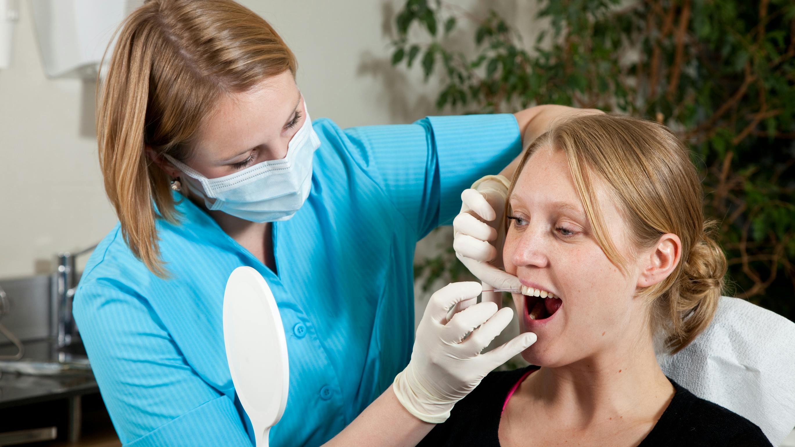 6690580eb9bcacda14571831 Dreamstime L 14006956