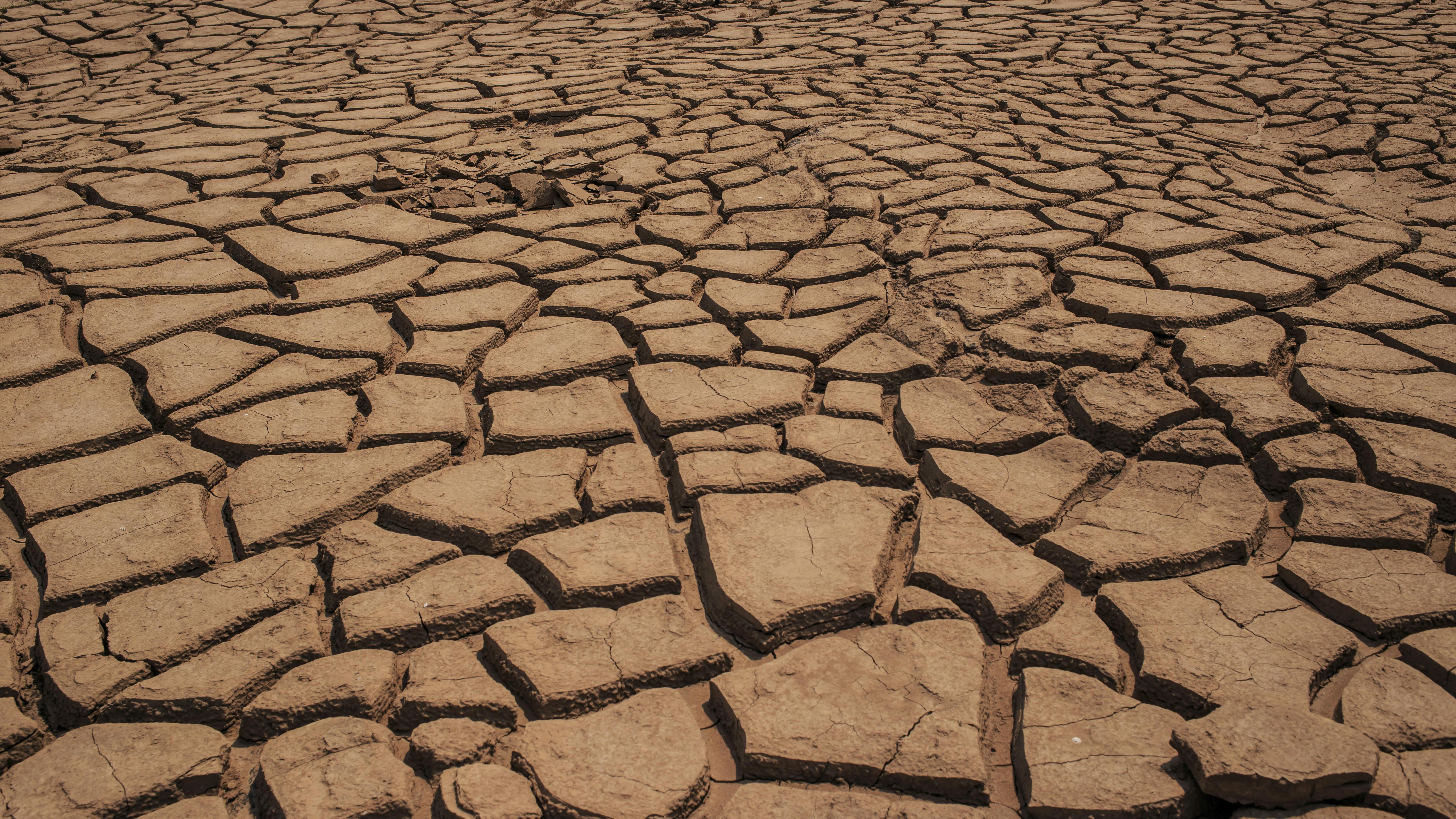 The clinical benefits of periodontal desiccation