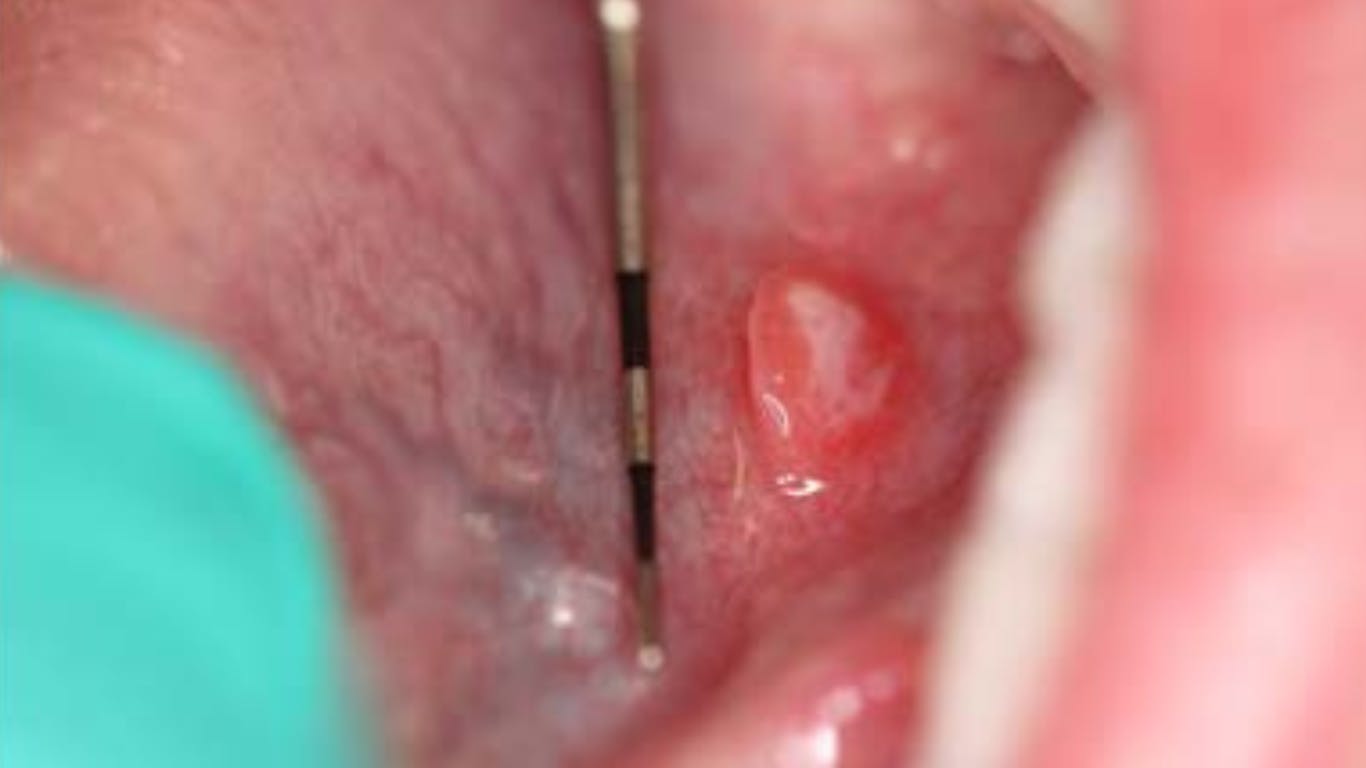 66c65cbfd888a28ba0e104a2 Website Thumbnail