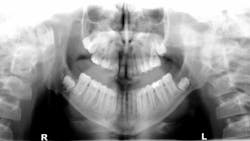 oral pathology oral pathology