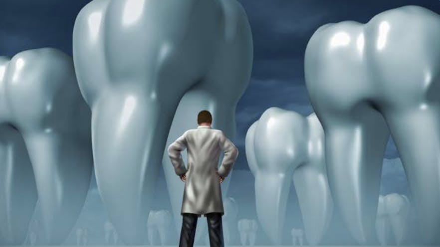 671a503e6661447d66ec8de9 Screenshot 20241024 At 8