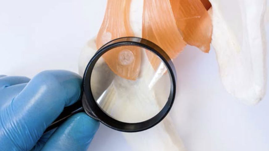 671a58ba6ebe1e548e50499e Screenshot 20241024 At 9