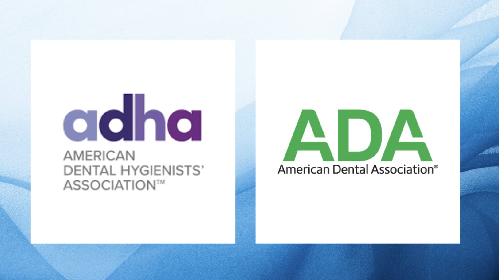 6757540237fc358cebe63879 Screenshot 20241209 At 2