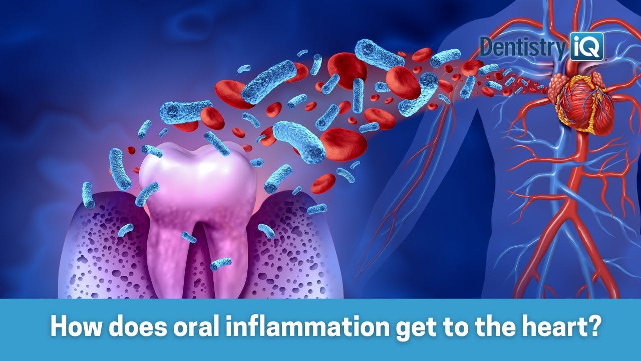 677c2e98337491e055b1d8df Maxresdefault