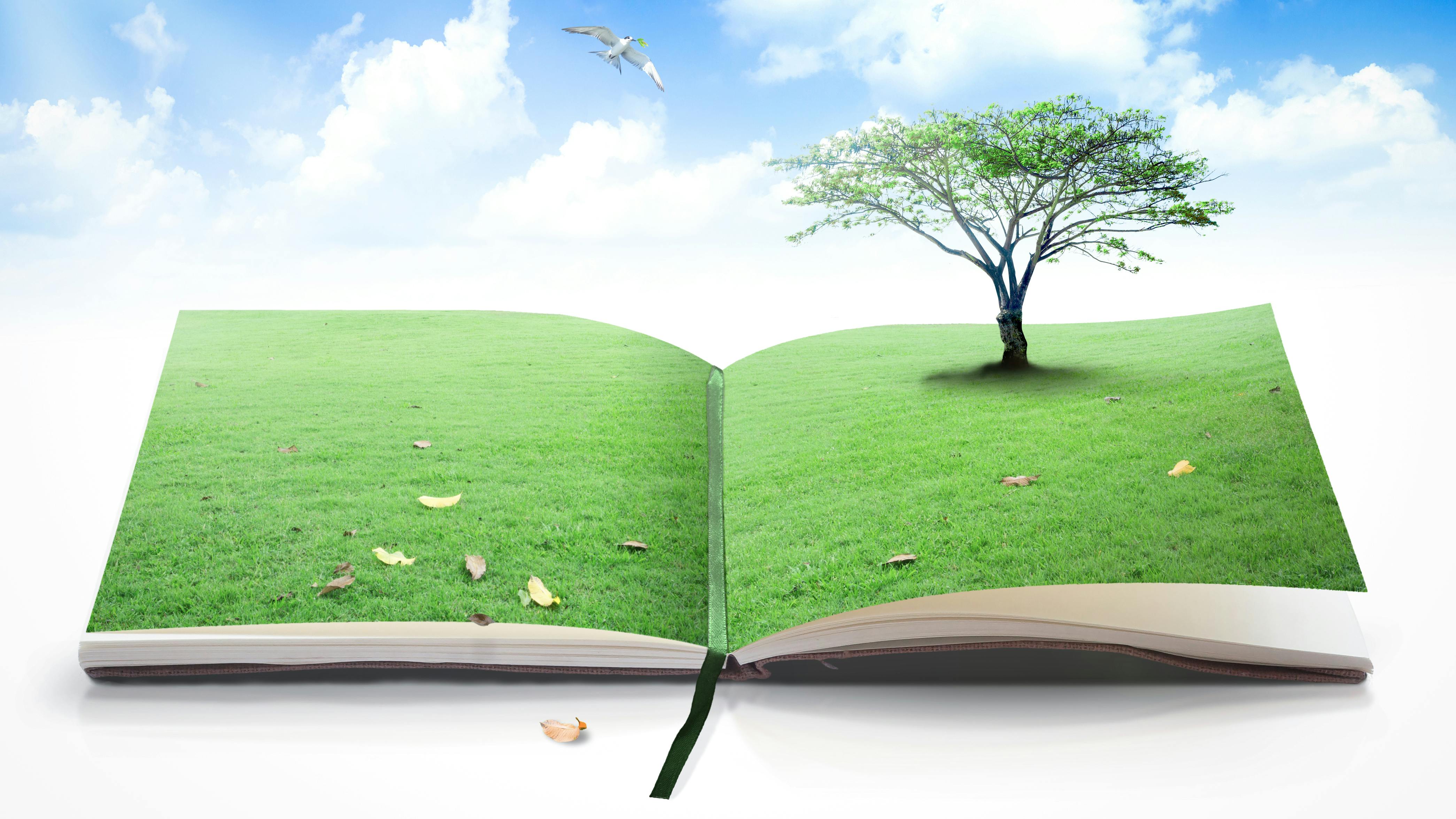 67f42eab02edd74dacb525ac Dreamstime Xxl 206722988