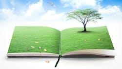 67f42eab02edd74dacb525ac Dreamstime Xxl 206722988 67f42eab02edd74dacb525ac Dreamstime Xxl 206722988