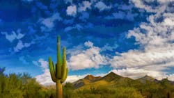 Arizona desert with a cactus Arizona desert with a cactus