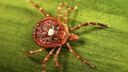 6888fb4a3d91765b687c4589 Screenshot 20250729 At 11 6888fb4a3d91765b687c4589 Screenshot 20250729 At 11