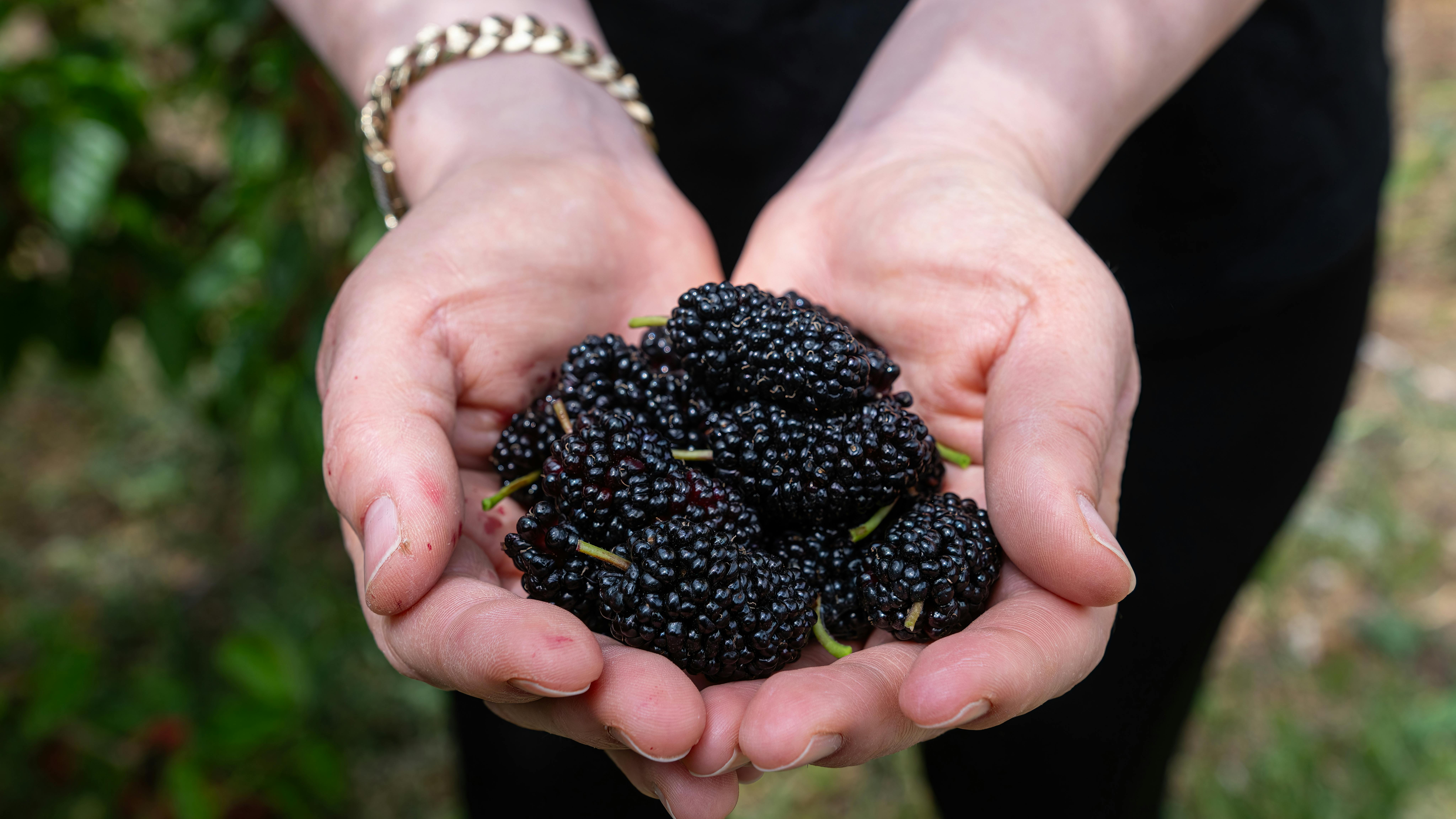 690a25d3feb156c82305581f Gettyimages2154183946