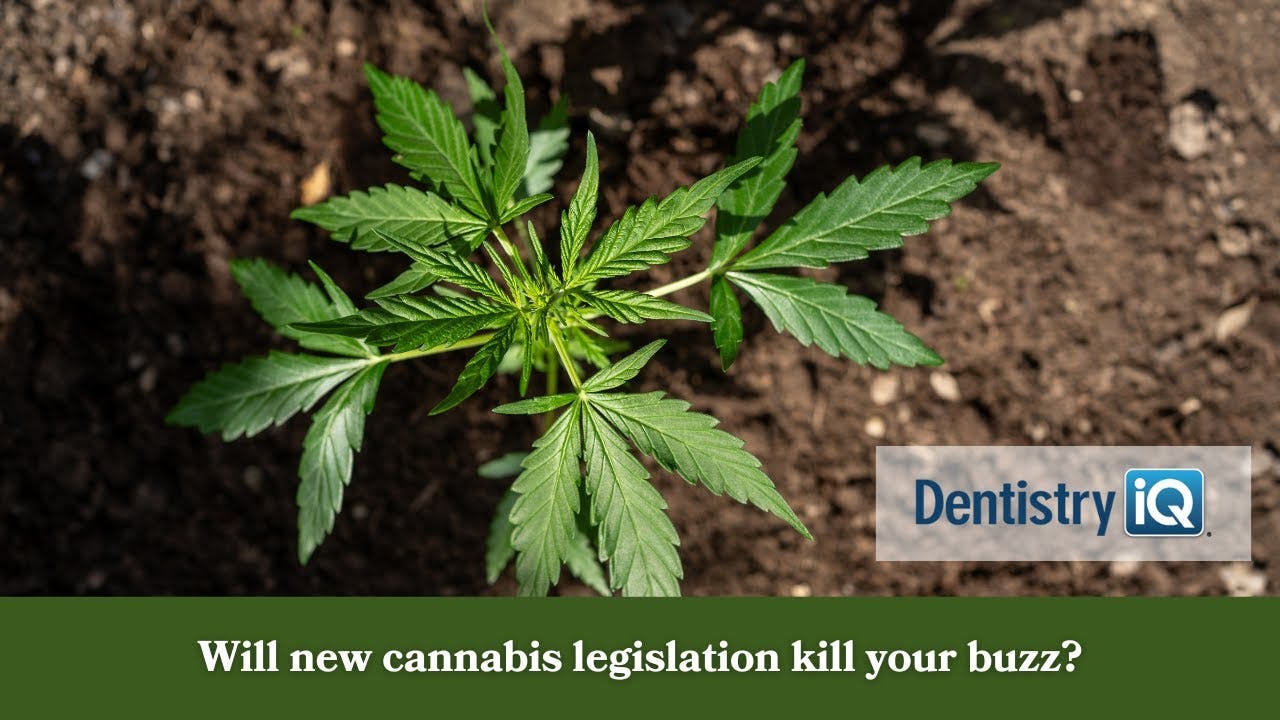 Will new cannabis legislation kill your buzz?