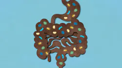 illustration representing the colon and its microbiota illustration representing the colon and its microbiota