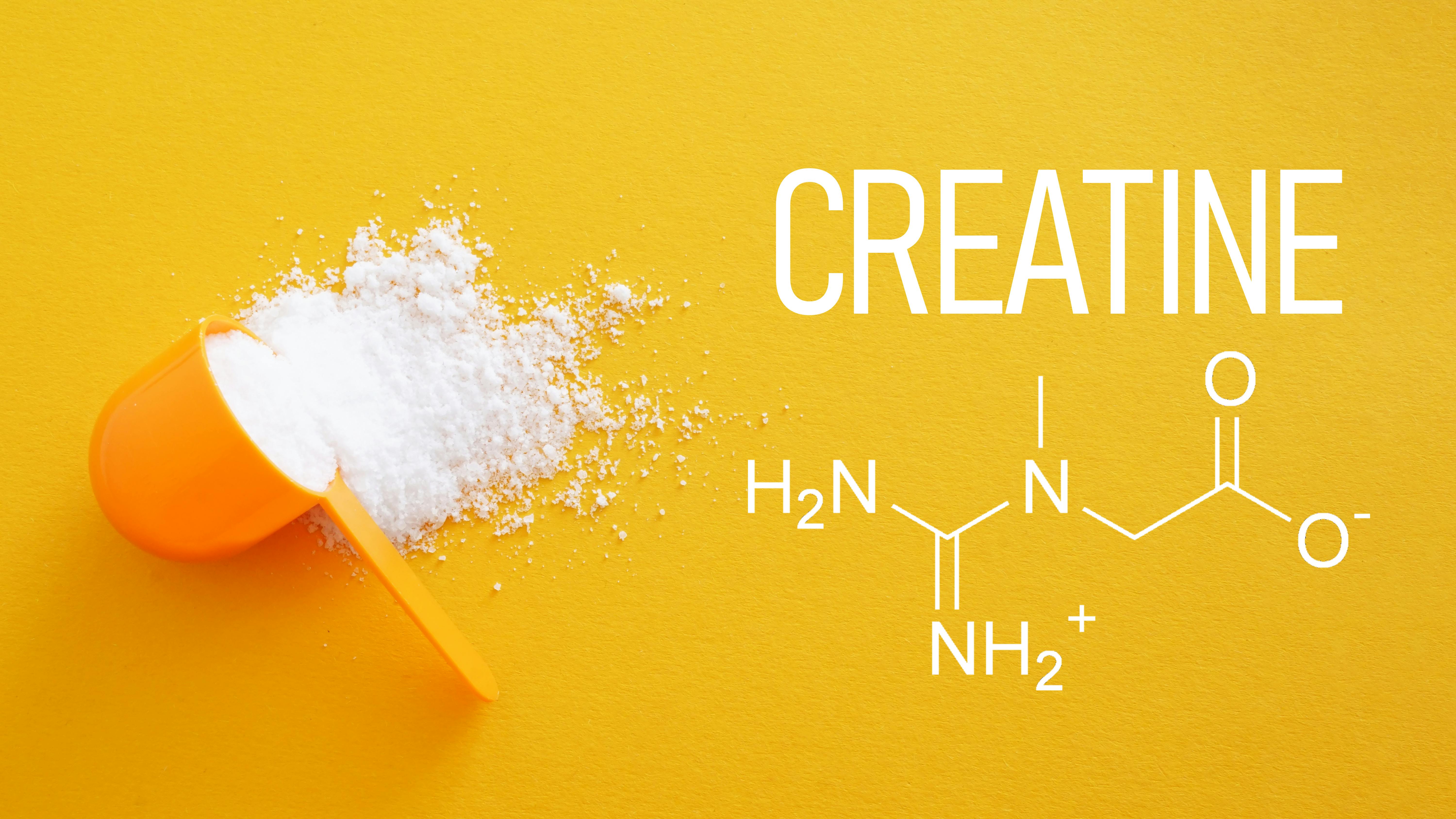 illustration of the chemical formula for creatine along with a scoop of white powder